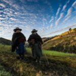 Aprueban nuevo formato del Seguro Agrícola Catastrófico para atender a más agricultores
