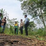 Gore San Martín instala vivero volante de bambú de 50 m2 en Pardo Miguel Naranjos