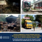 Fiscalía ambiental de Moyobamba dispuso incautación de madera tornillo de procedencia ilegal