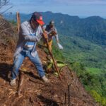 Reforestan zona afectada por incendio en Cordillera Escalera
