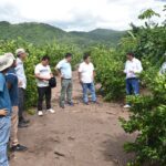 Representantes del IICA resaltan trabajo en el sector agricultura