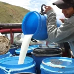MIDIS reducirá raciones de leche en Qali Warma, ¿cómo impactará en la economía rural?