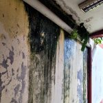Contraloría detecta deficiencias en infraestructura y servicios básicos en colegios de San Martín