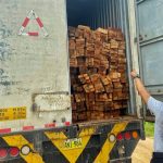 A fin de contrarrestar la deforestación Goresam realiza operativos para decomisar madera  
