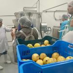 Ponen en marcha primera planta de procesamiento de maracuyá en San Martín