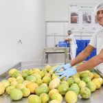 Universidad Nacional Agraria La Molina inaugura Centro de Procesamiento de Alimentos en la región San Martín