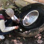 Inspeccionan 152 viviendas del centro poblado Naranjos- Ramírez en Moyobamba a fin de mitigar el dengue
