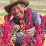 Gobierno sigue impulsando el agro para contribuir con la seguridad alimentaria del país