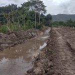 Culminan trabajos de limpieza y descolmatación en la quebrada Yacaré del distrito de Jepelacio