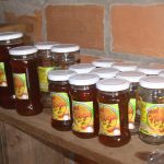Proyecto Apícola refuerza conocimientos sobre flora Melífera y suplementos proteicos
