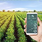 Logros y desafíos hacia una agricultura sostenible y libre de deforestación en San Martín
