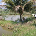 Gobierno Regional de San Martín culmina con éxito la fiscalización de centros de semilla en 2024