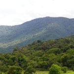 SERFOR brinda asistencia técnica a nueve gobiernos regionales para el proceso de zonificación y ordenamiento forestal