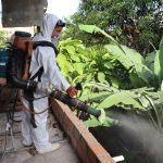Dengue: Goresam inicia ciclo de fumigación en la provincia de San Martín