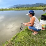 Capacitaciones y Asistencias Técnicas fortalecen la acuicultura en el Alto Mayo