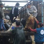 Tocache: Intensifican lucha contra el dengue y eliminan más de 30 toneladas de criaderos del zancudo