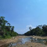 Goresam impulsa proyectos de agua y saneamiento en zonas rurales de Caynarachi.
