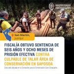Fiscalía obtuvo sentencia de seis años y ocho meses de prisión efectiva contra culpable de talar área de conservación en Saposoa