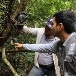 Proyecto Apícola promueve técnicas sostenibles para conservar abejas nativas