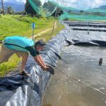 GORESAM impulsa el proyecto Especies Nativas Amazónicas para cultivo acuícola exitoso