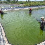 GORESAM promueve acuicultura sostenible en Estación Pesquera Ahuashiyacu