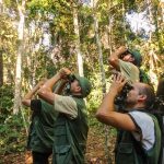 San Martín, un paraíso verde para el avistamiento de aves
