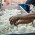 GORESAM promueve proyecto para fortalecer la cadena productiva del coco en San Martín