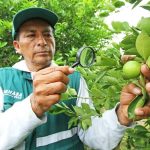 Pronabec lanza beca integral para que personas con discapacidad inicien o continúen carreras profesionales