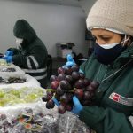 Gobierno logra un nuevo acceso: Uva peruana ingresará al mercado de Israel
