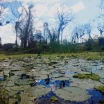 Goresam continúa recuperando y conservando los ecosistemas en San Martín