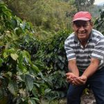 San Martín consolida su liderazgo en café y cacao de clase mundial
