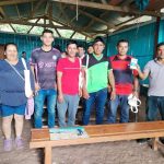 Apicultores de Lamas fortalecen sus capacidades en reciclaje y refinado de cera