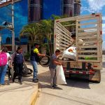 Eliminan más de 9 toneladas de criaderos del zancudo transmisor del dengue en Moyobamba