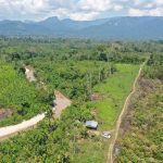 Reconocen más de medio millón de hectáreas como unidades de ordenamiento forestal