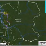 Gobierno anuncia paralización de actividades madereras en Atalaya tras denuncias indigenas