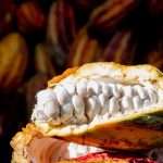 MIDAGRI: Perú exportó al mundo casi US$ 7 mil millones en frutas y hortalizas en once meses de 2025