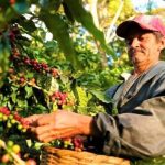 San Martín consolida avances en el sector agrario con enfoque estratégico y sostenible