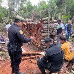 Intervención ambiental frena tala ilegal y producción clandestina de carbon en Juan Guerra