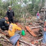 Intervención ambiental desarticula actividad ilegal que degradaba bosques en Juan Guerra