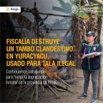 Fiscalía ambiental ejecuta interdicción por tala ilegal y destruye tambo de depredadores