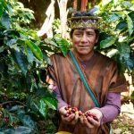 Más de 14 mil agricultores impulsan sus cultivos con S/ 226 millones en créditos del MIDAGRI