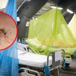 Perú supera en ocho meses de 2026 el récord de fallecidos por dengue de todo 2025